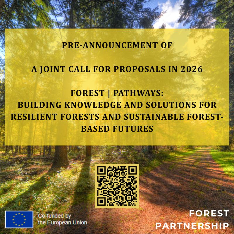 FOREST
